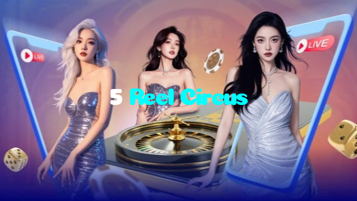 available types of 5 Reel Circus bet including pre-match live express and system bets