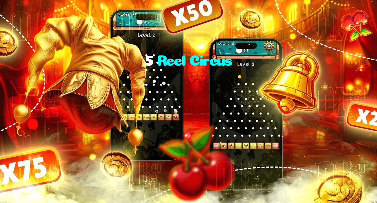 available types of 5 Reel Circus bet including pre-match live express and system bets